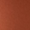 Tints 20529